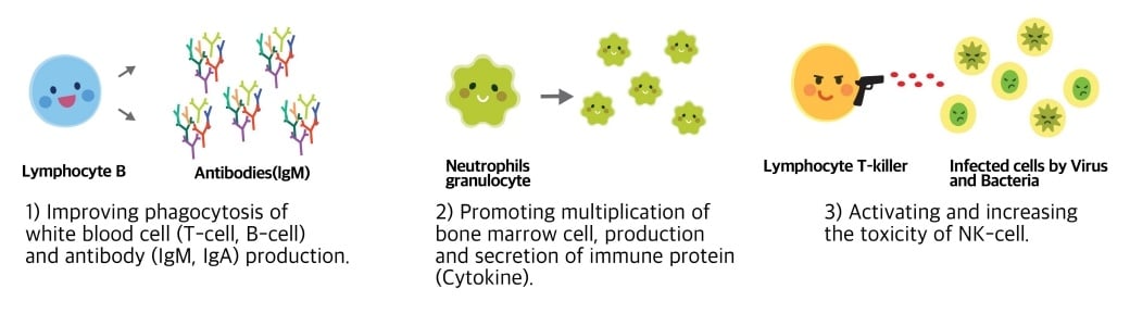 Improving Immune System-1